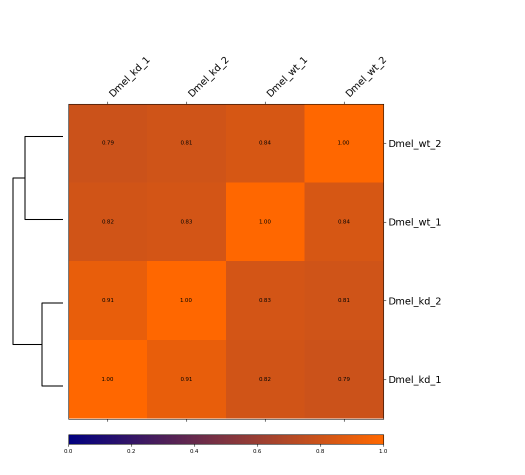 ../../../_images/Dmel_heatmap.png
