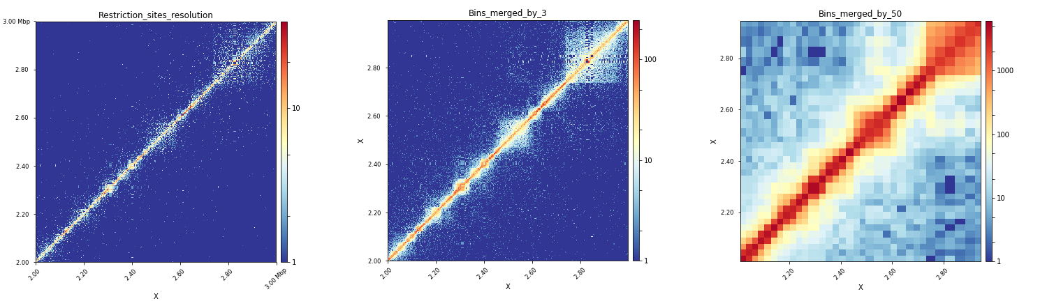 ../../../_images/hicMergeMatrixBins_Xregion.png