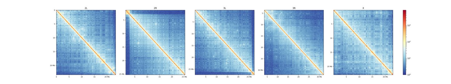 ../../../_images/hicPlotMatrix_perChromosome.png